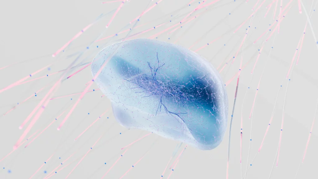 brain